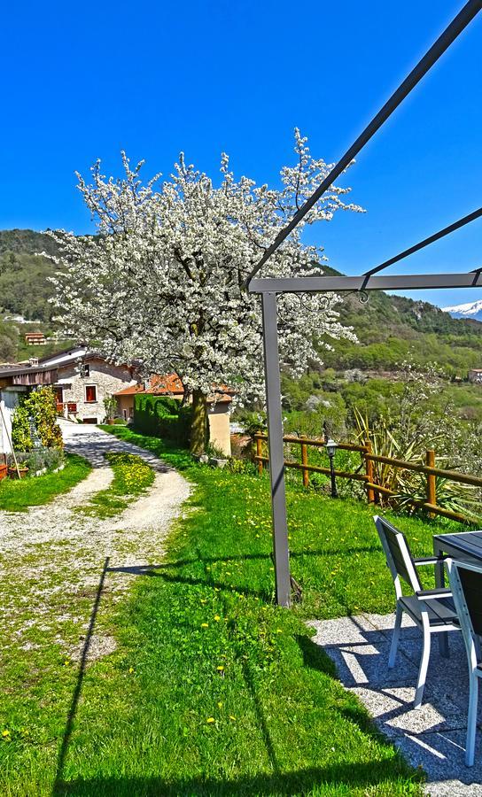 Casa Belvedere Garden By Gardadomusmea Tremosine Bagian luar foto