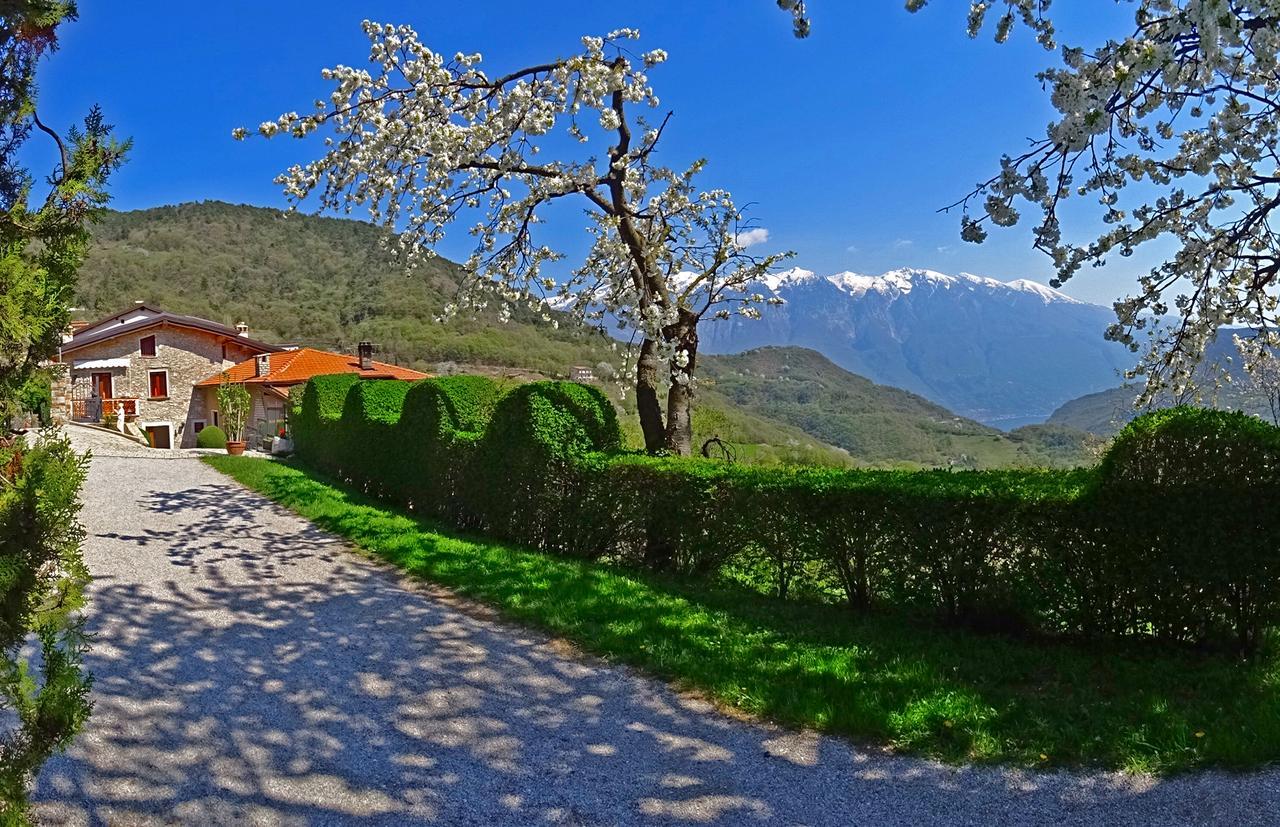 Casa Belvedere Garden By Gardadomusmea Tremosine Bagian luar foto